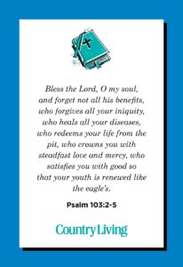 23 Bible Verses On Gratitude Being Thankful For The Little Things