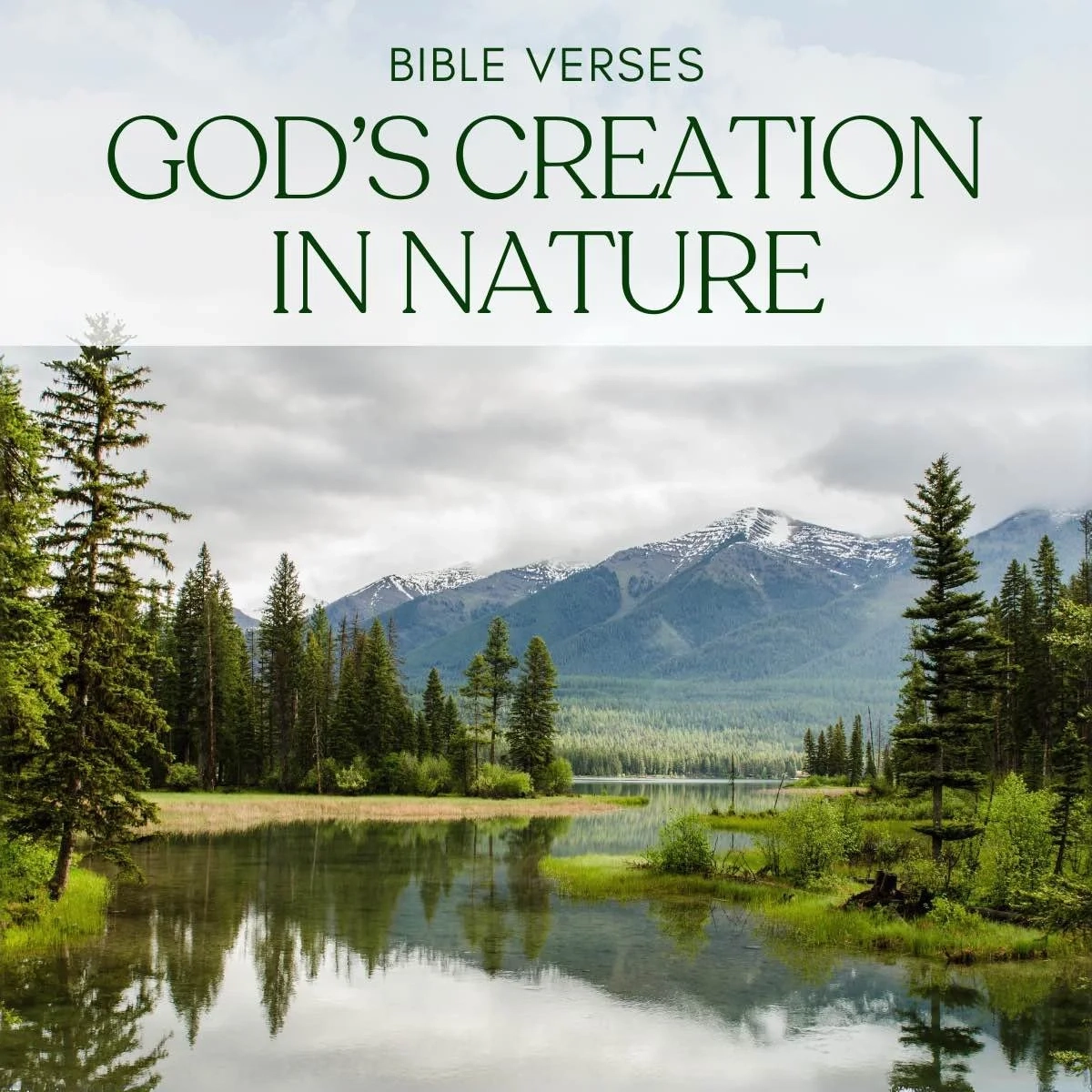 24 Inspiring Bible Verses Celebrating God s Creation In Nature