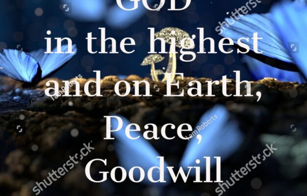 24 Luke 2 14 Royalty Free Images Stock Photos Pictures Shutterstock