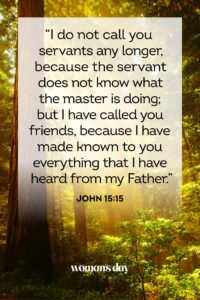 25 Best Bible Verses About Friendship