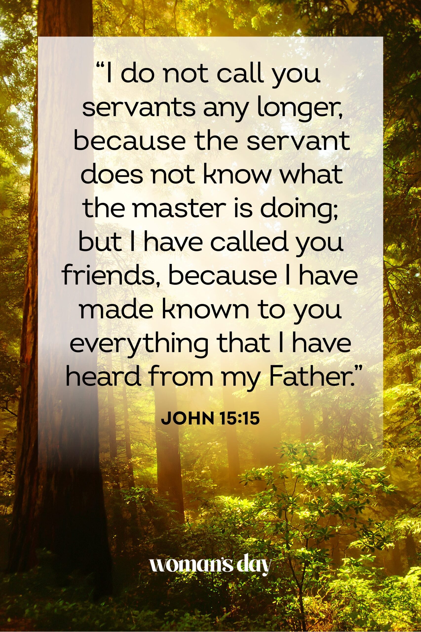 Bible Quotes About Bad Friends