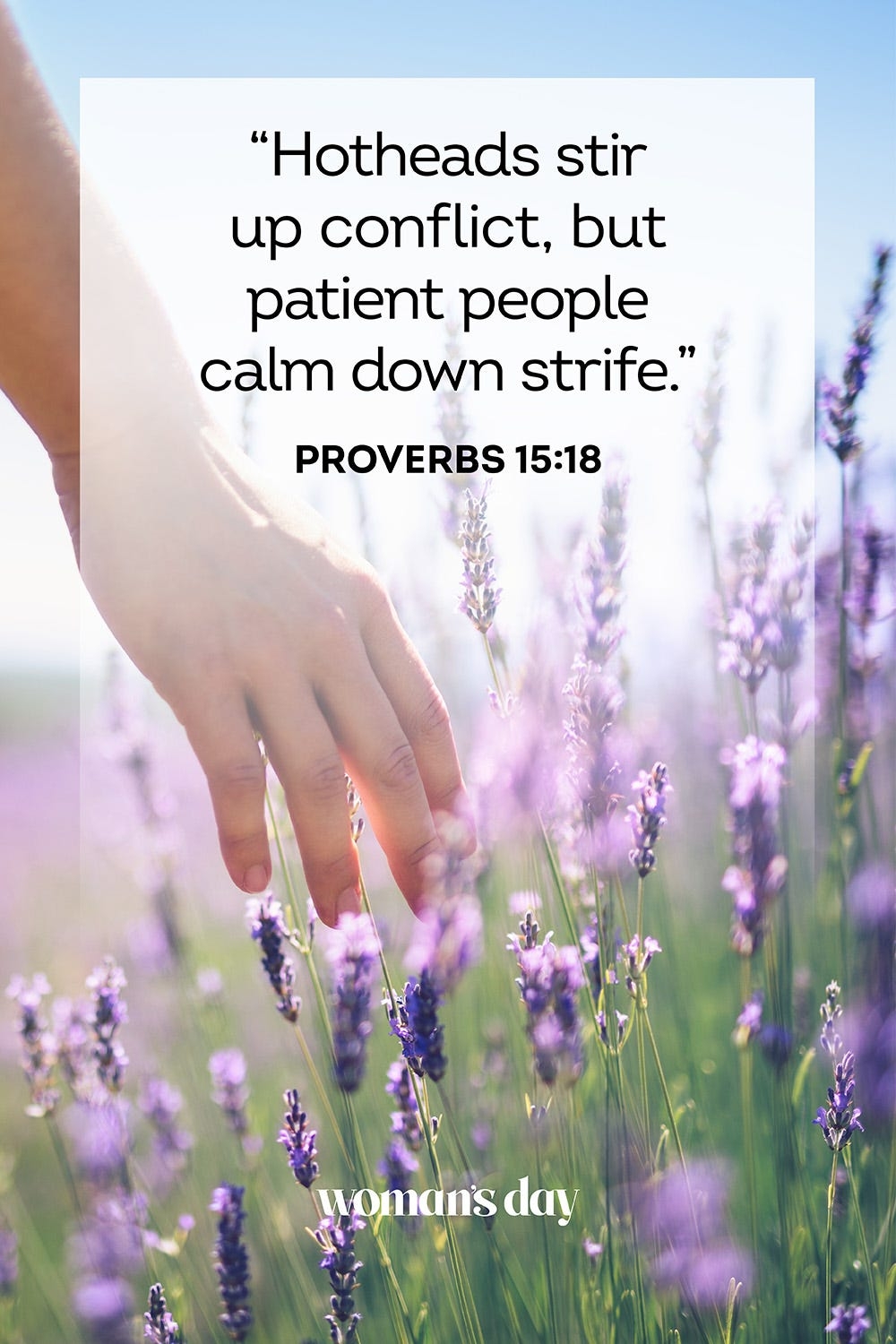 Bible Quotes About Conflict