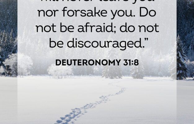 25 Bible Verses About Depression To Help Your Mental Health