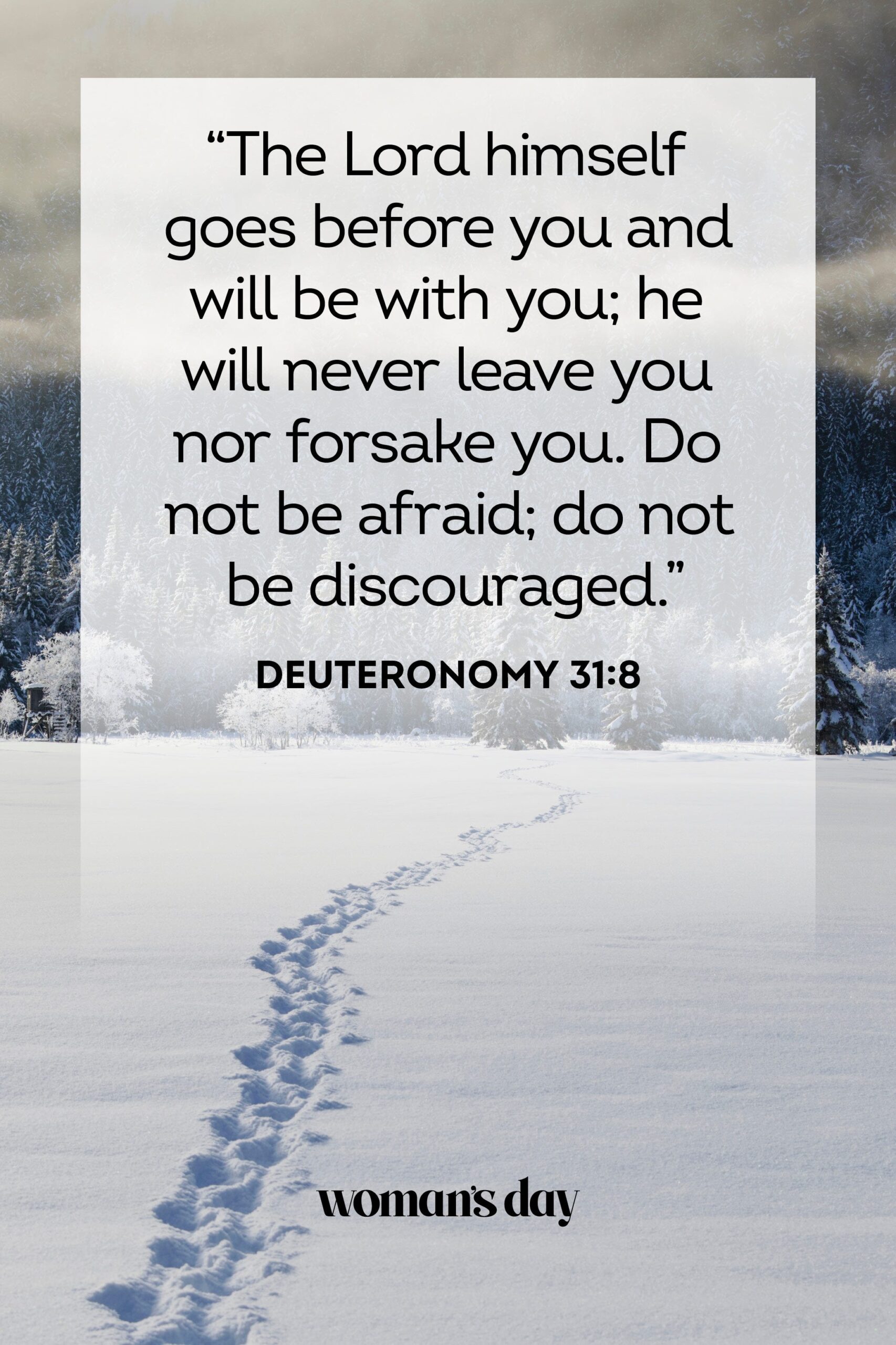 25 Bible Verses About Depression To Help Your Mental Health