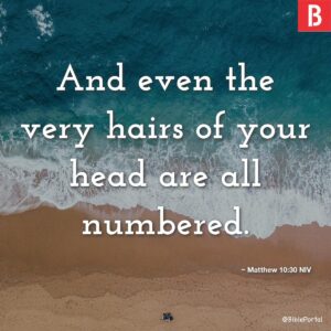25 Bible Verses About Individuality