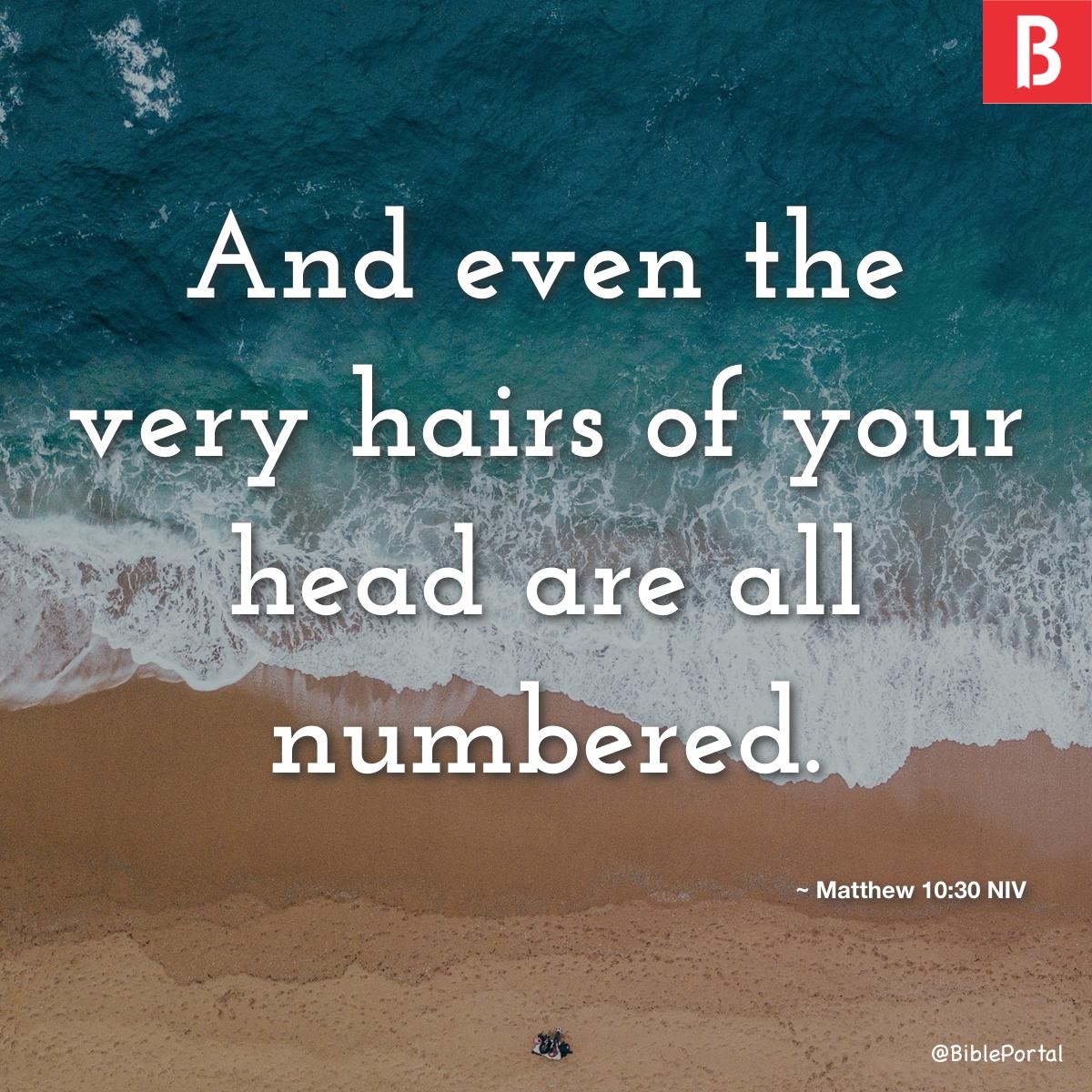 25 Bible Verses About Individuality