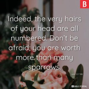 25 Bible Verses About Individuality