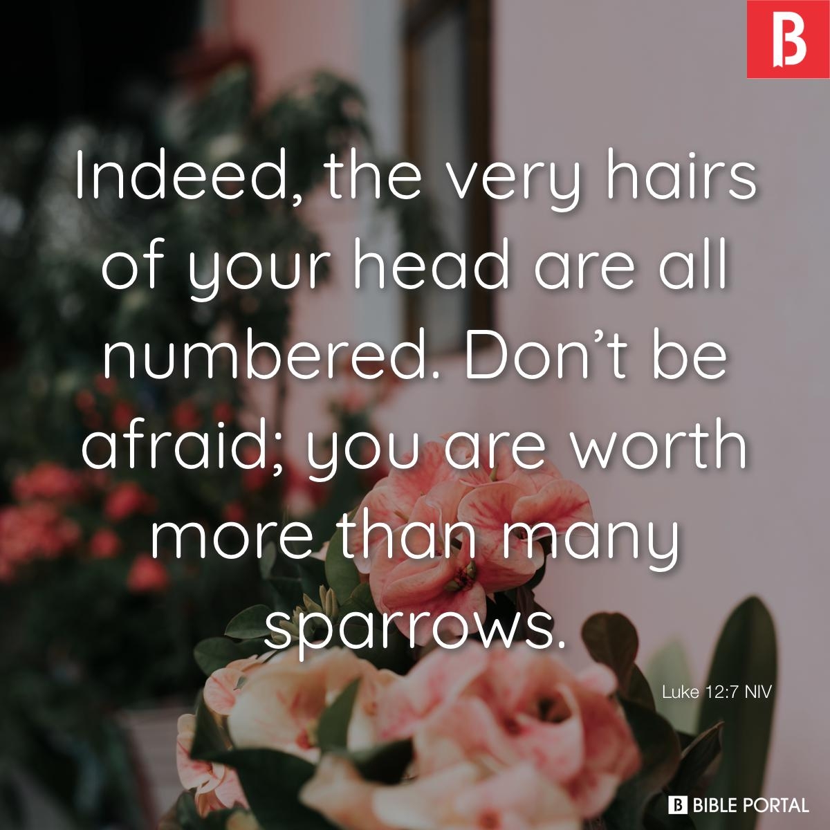 25 Bible Verses About Individuality