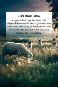 25 Bible Verses About The Lost Sheep Every Christian Should Know Christ Follower Life