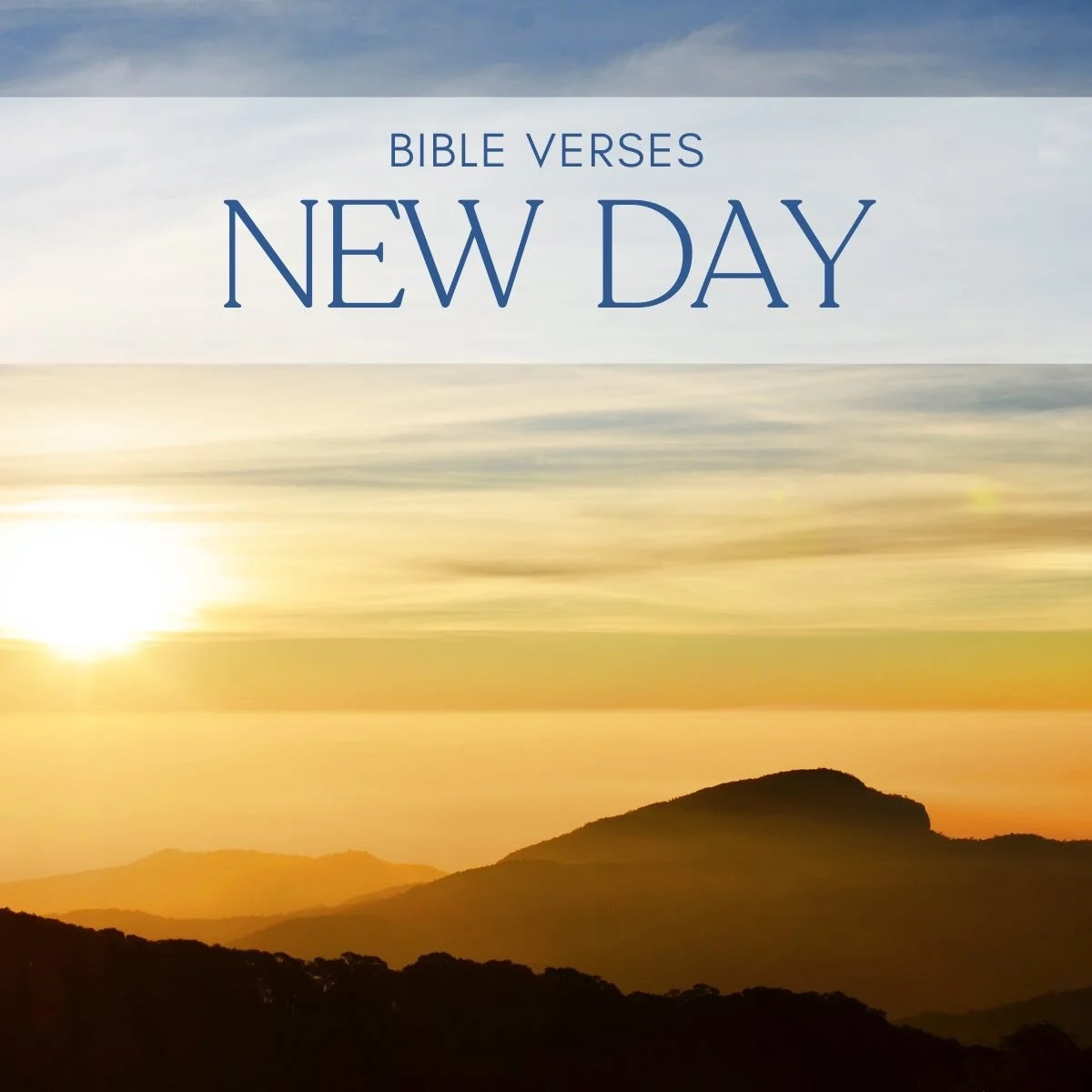 25 Bible Verses About The New Day