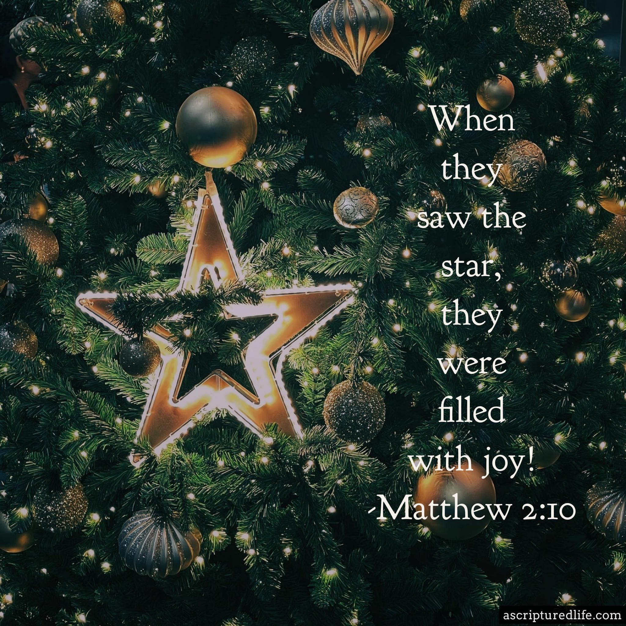25 Christmas Bible Verses To Usher In Peace And Joy A Scriptured Life