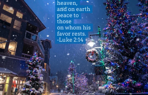 25 Christmas Bible Verses To Usher In Peace And Joy A Scriptured Life