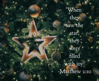 25 Christmas Bible Verses To Usher In Peace And Joy A Scriptured Life