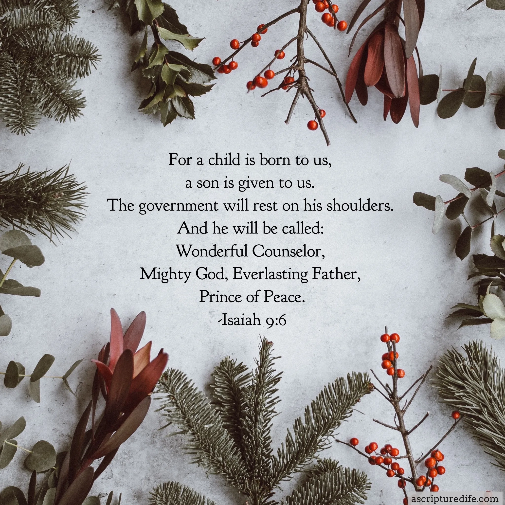 25 Christmas Bible Verses To Usher In Peace And Joy A Scriptured Life