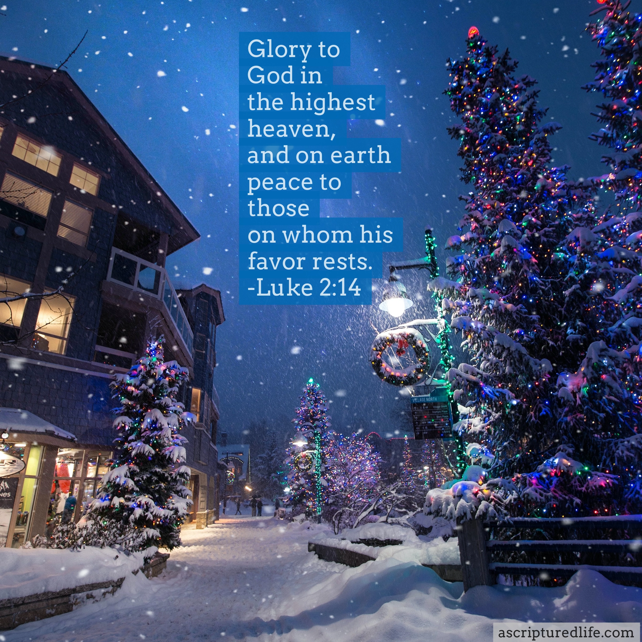 Merry Christmas Bible Quotes