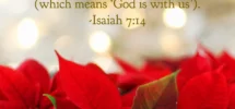25 Christmas Bible Verses To Usher In Peace And Joy A Scriptured Life
