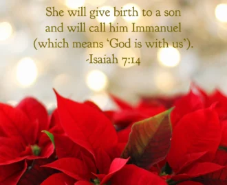 25 Christmas Bible Verses To Usher In Peace And Joy A Scriptured Life