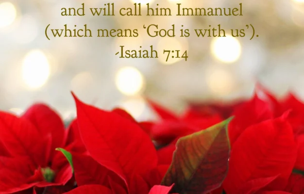 25 Christmas Bible Verses To Usher In Peace And Joy A Scriptured Life