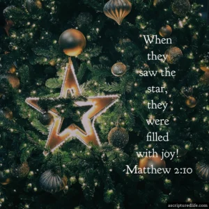 25 Christmas Bible Verses To Usher In Peace And Joy A Scriptured Life