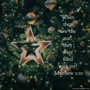 25 Christmas Bible Verses To Usher In Peace And Joy A Scriptured Life