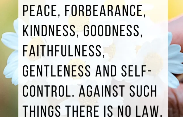 25 Favorite Bible Verses About God s Faithfulness Chasing Vibrance