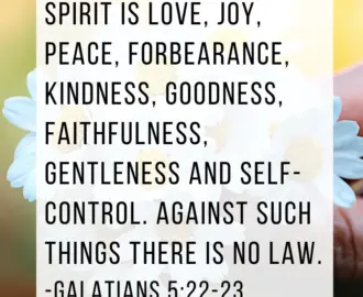 25 Favorite Bible Verses About God s Faithfulness Chasing Vibrance