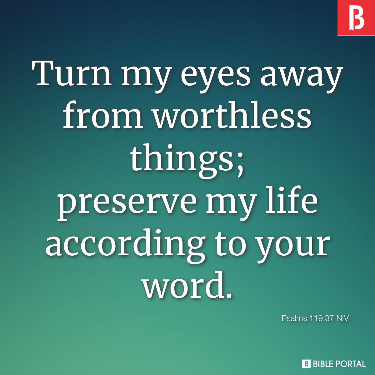 263 Bible Verses About Vanity