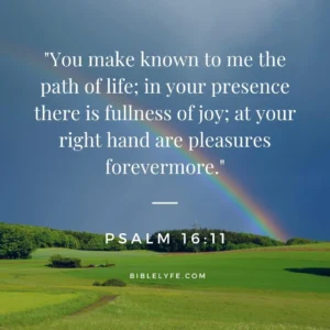28 Bible Verses About Happiness To Brighten Your Day Bible Lyfe