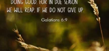 28 Fall Bible Verses Reflecting On Harvest Change Patience Gratit Christ Follower Life