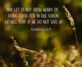 28 Fall Bible Verses Reflecting On Harvest Change Patience Gratit Christ Follower Life