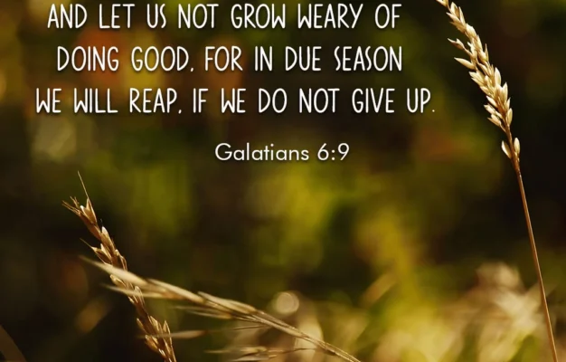 28 Fall Bible Verses Reflecting On Harvest Change Patience Gratit Christ Follower Life