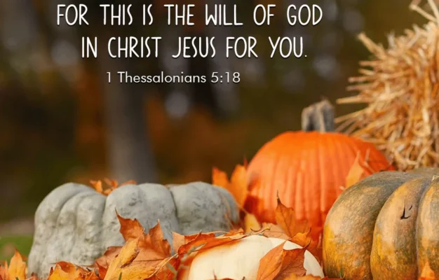 28 Fall Bible Verses Reflecting On Harvest Change Patience Gratit Christ Follower Life