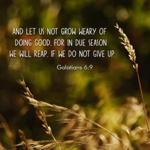 28 Fall Bible Verses Reflecting On Harvest Change Patience Gratit Christ Follower Life
