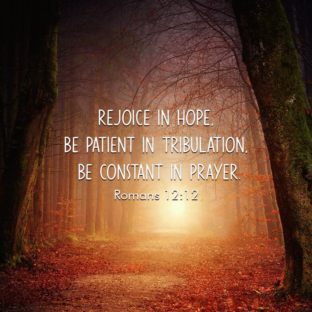 28 Fall Bible Verses Reflecting On Harvest Change Patience Gratit Christ Follower Life