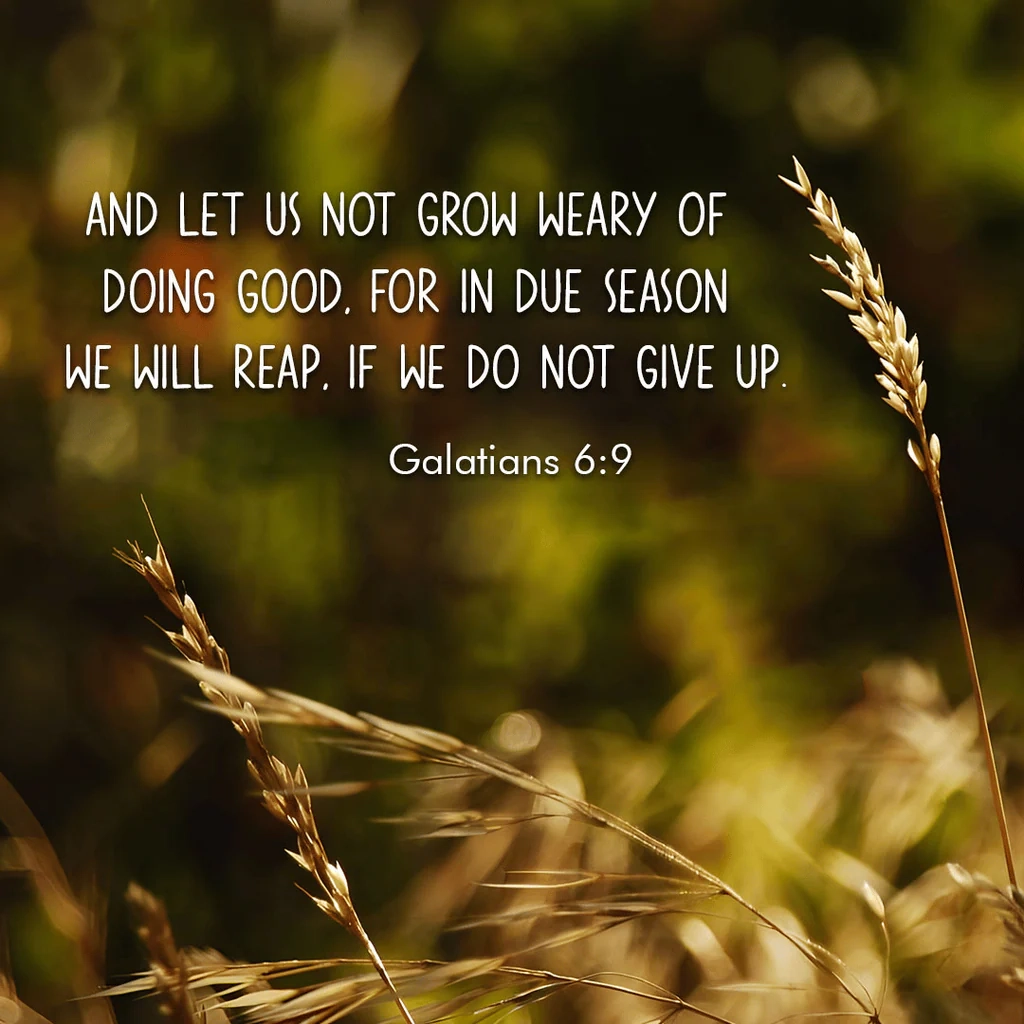 28 Fall Bible Verses Reflecting On Harvest Change Patience Gratit Christ Follower Life