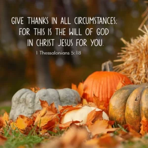 28 Fall Bible Verses Reflecting On Harvest Change Patience Gratit Christ Follower Life
