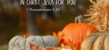 28 Fall Bible Verses Reflecting On Harvest Change Patience Gratit Christ Follower Life
