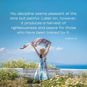 28 Uplifting Bible Verses About Adversity With Commentary