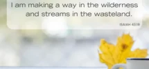 30 Bible Verses About Change With Commentary