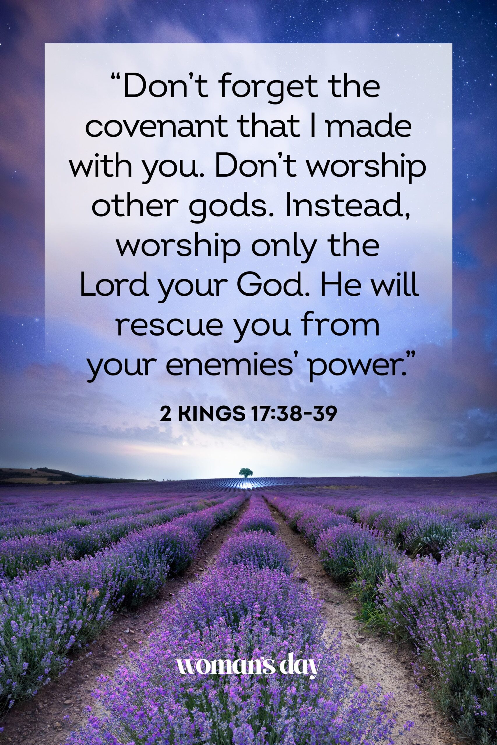 30 Bible Verses About Worship Powerful Scriptures About Praise
