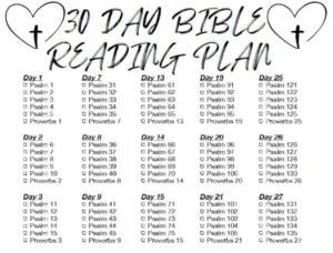 30 Day Bible Reading Plan Psalms And Proverbs Etsy Israel