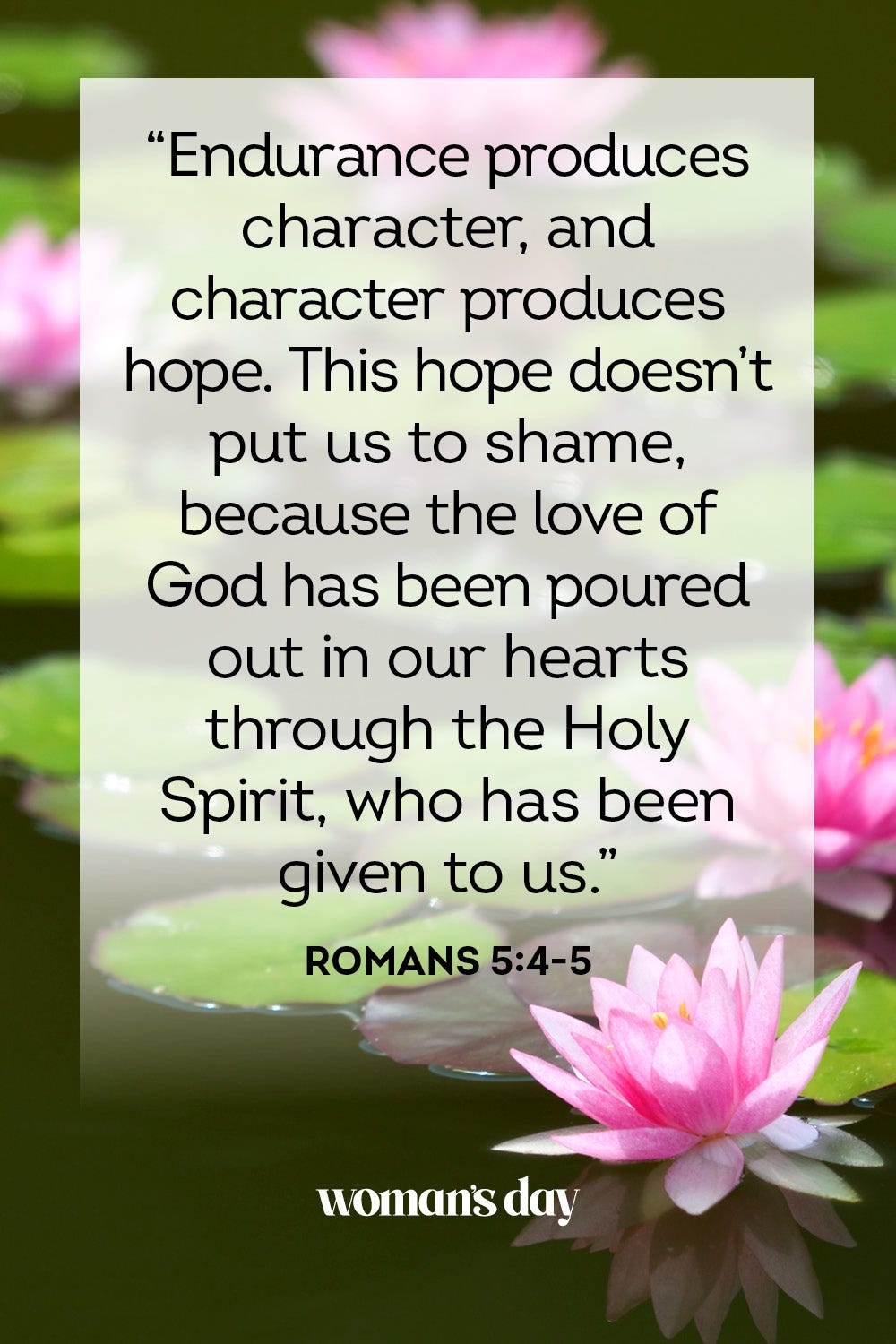 Inspirational Bible Quotes For Graduates