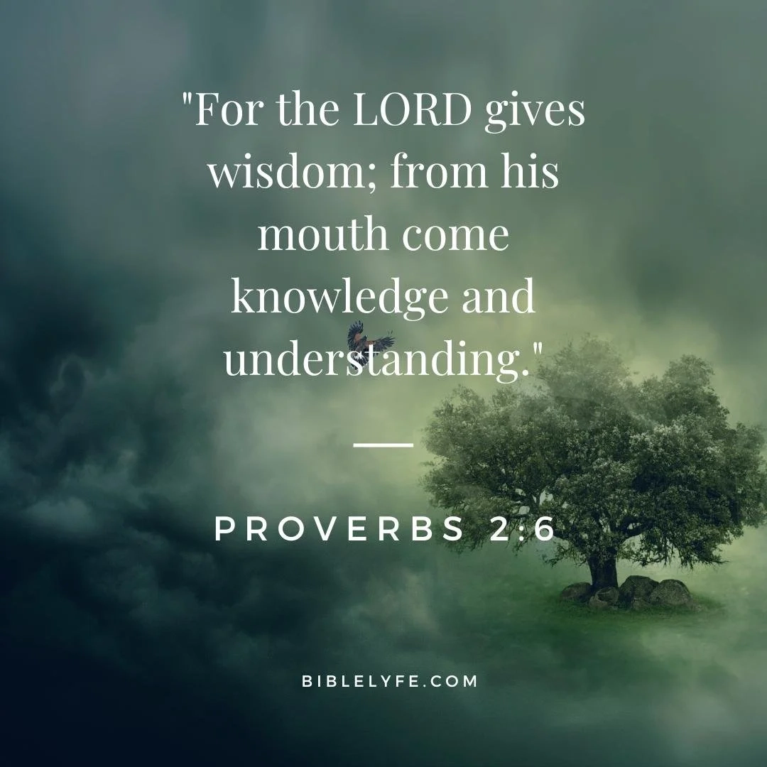30 Enlightening Bible Verses About Wisdom Bible Lyfe