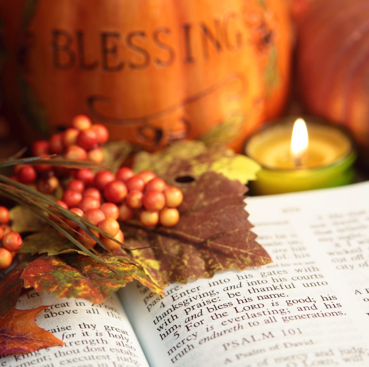 30 Fall Bible Verses And Scripture For Autumn