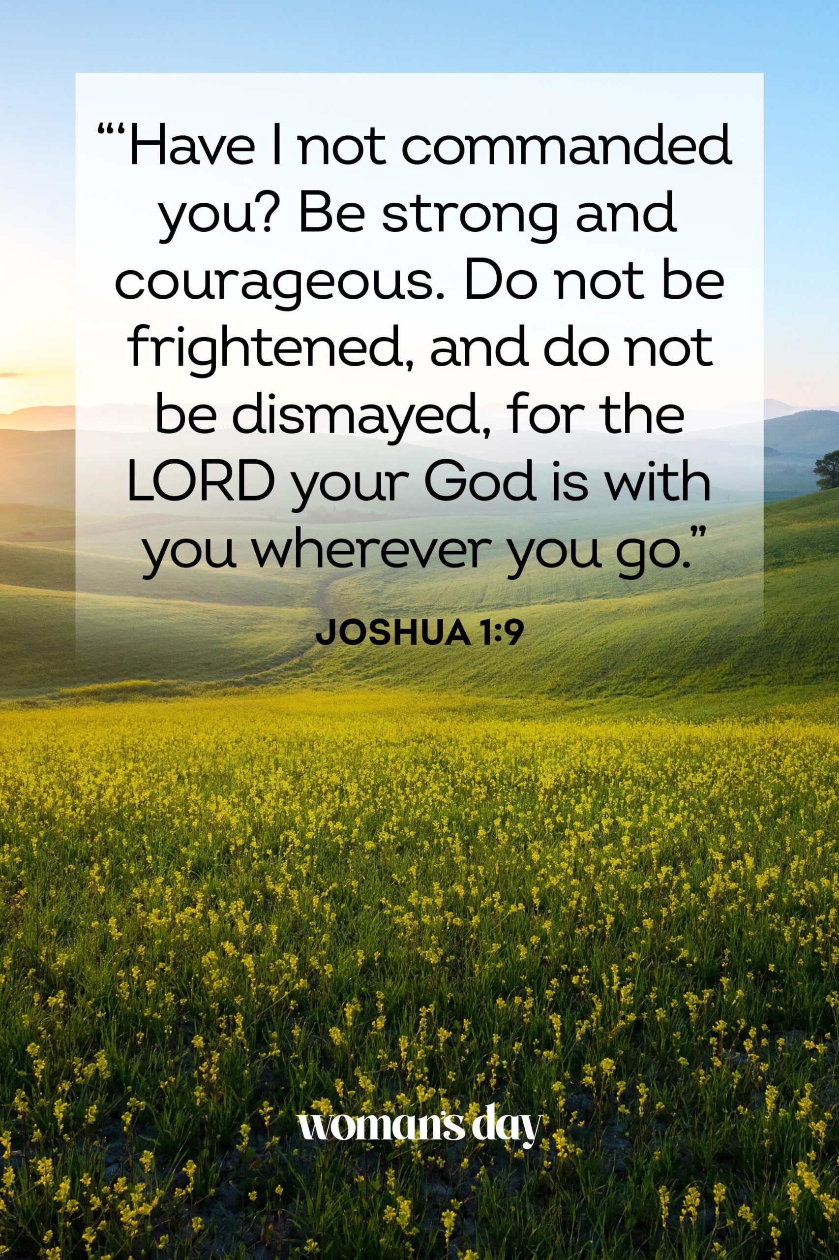 Bible Quotes About Worry