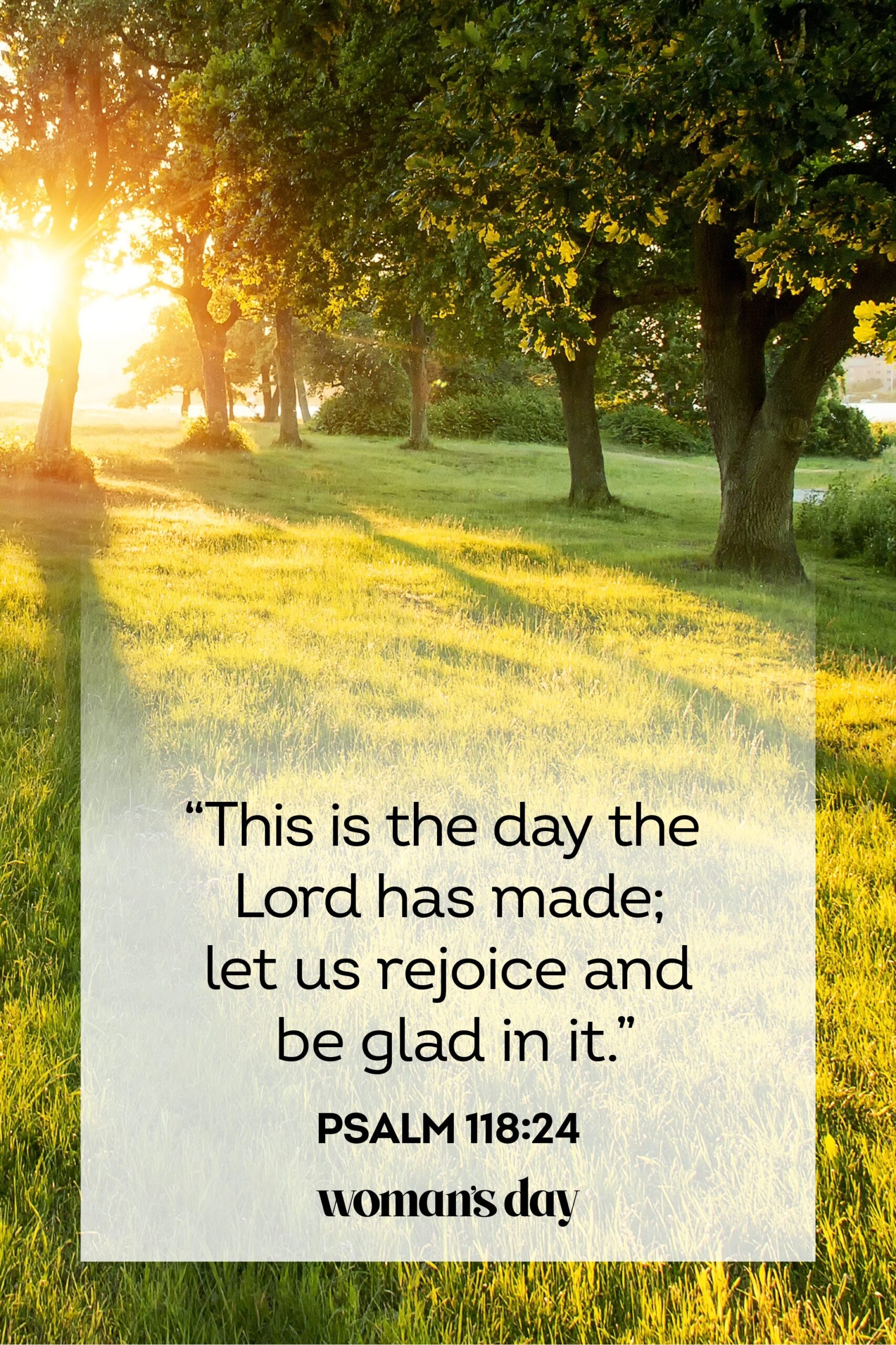 30 Palm Sunday Scriptures 2024 Bible Verses About Palm Sunday