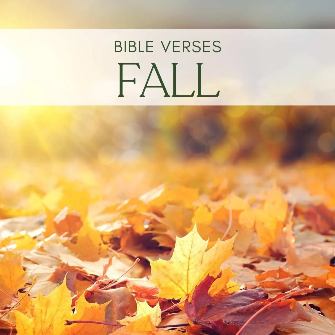 Bible Quotes For Autumn