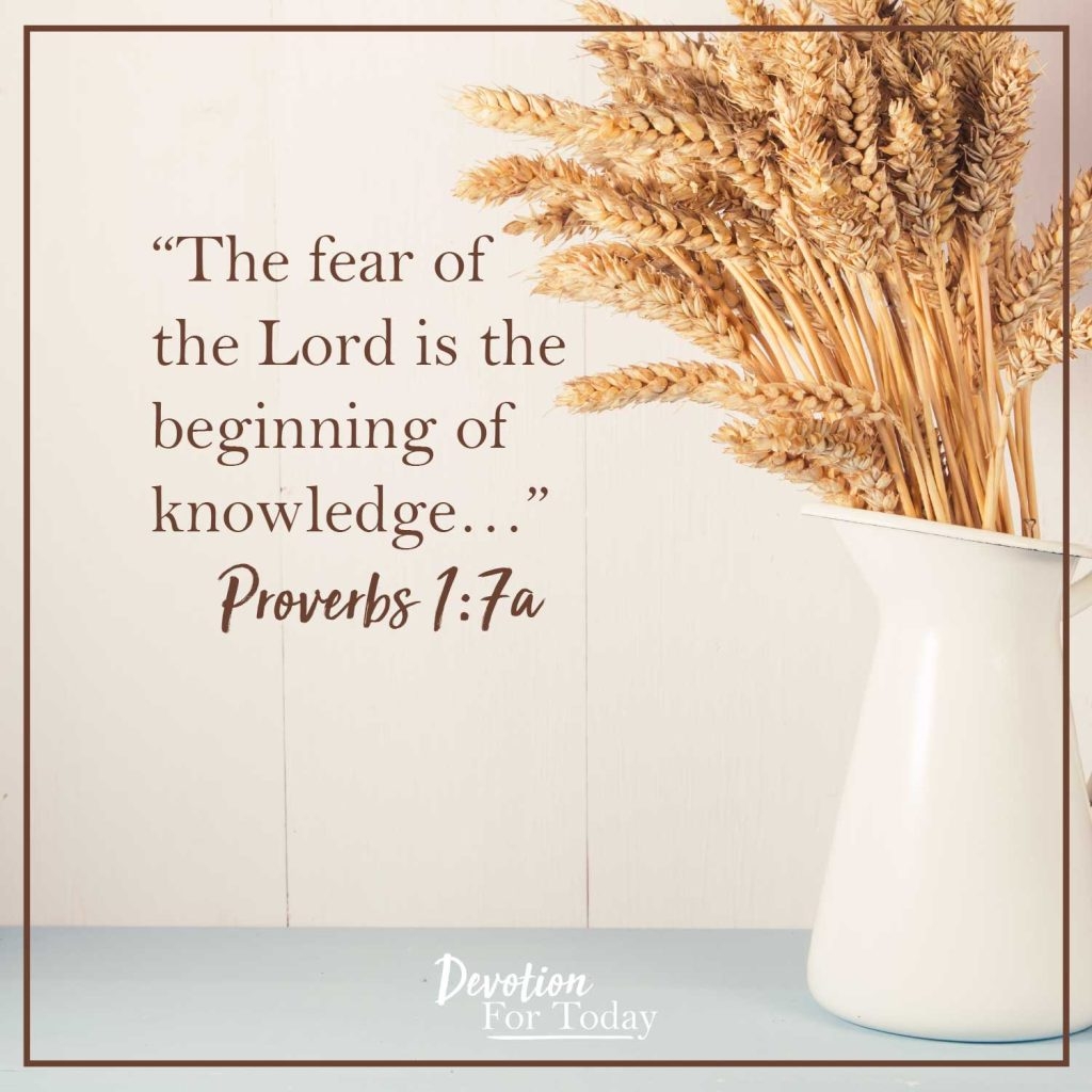31 Bible Verses From Proverbs Devotion For Today