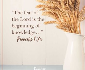 31 Bible Verses From Proverbs Devotion For Today