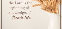 31 Bible Verses From Proverbs Devotion For Today
